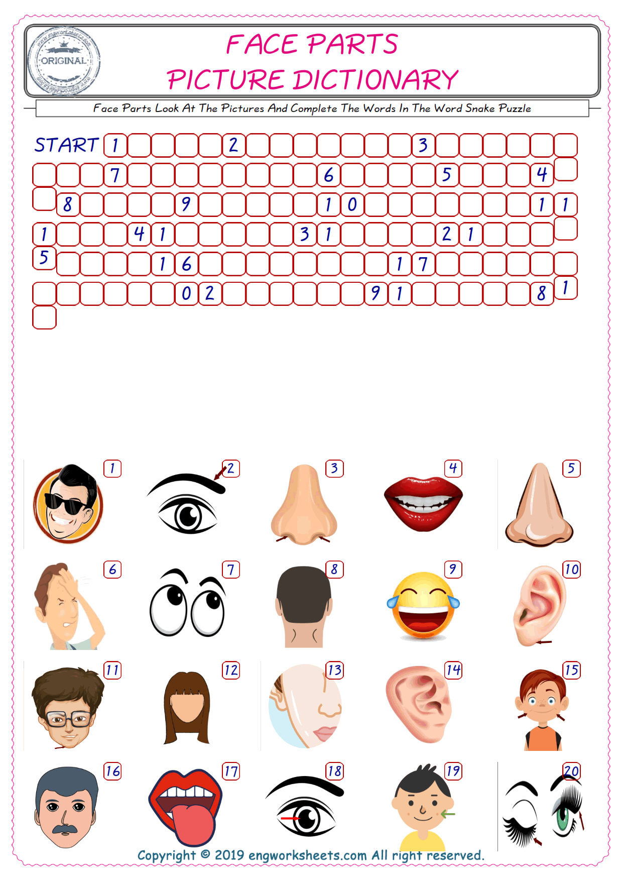  Check the Illustrations of Face Parts english worksheets for kids, and Supply the Missing Words in the Word Snake Puzzle ESL play. 